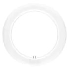 Ledvance Tube LED T9 Value circulaire (EM/Mains) 11W 1200lm - 830  | Remplacement 22W